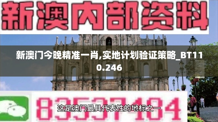 新澳门今晚精准一肖,实地计划验证策略_BT110.246