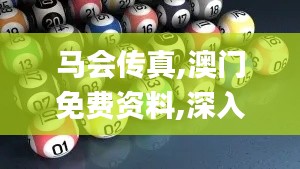 马会传真,澳门免费资料,深入执行数据策略_iPhone3.993