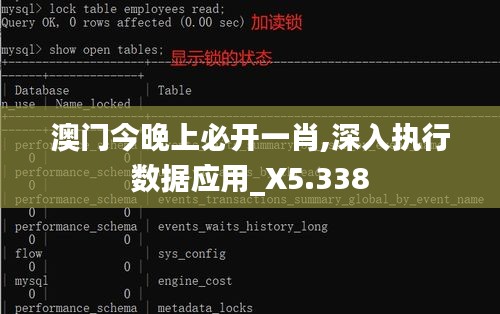 澳门今晚上必开一肖,深入执行数据应用_X5.338