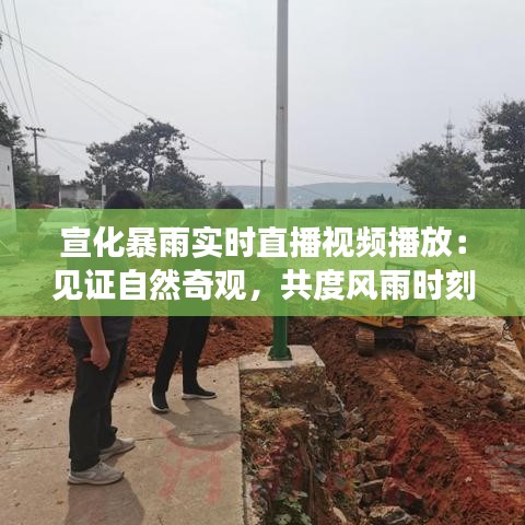 宣化暴雨实时直播视频播放：见证自然奇观，共度风雨时刻