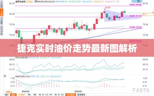 捷克实时油价走势最新图解析