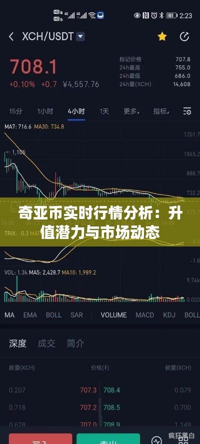 奇亚币实时行情分析：升值潜力与市场动态