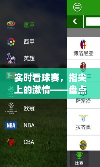 实时看球赛，指尖上的激情——盘点最受欢迎的看球App
