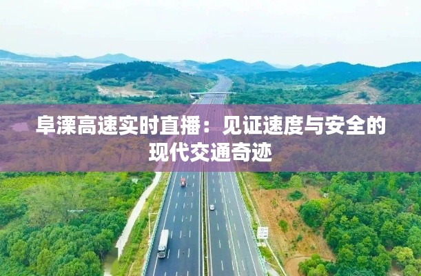 阜溧高速实时直播：见证速度与安全的现代交通奇迹