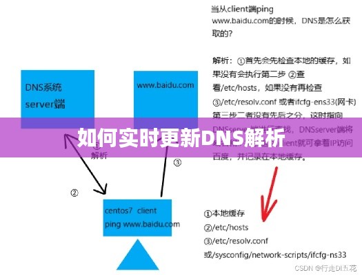 如何实时更新DNS解析