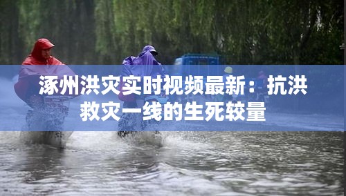 千辛万苦 第3页