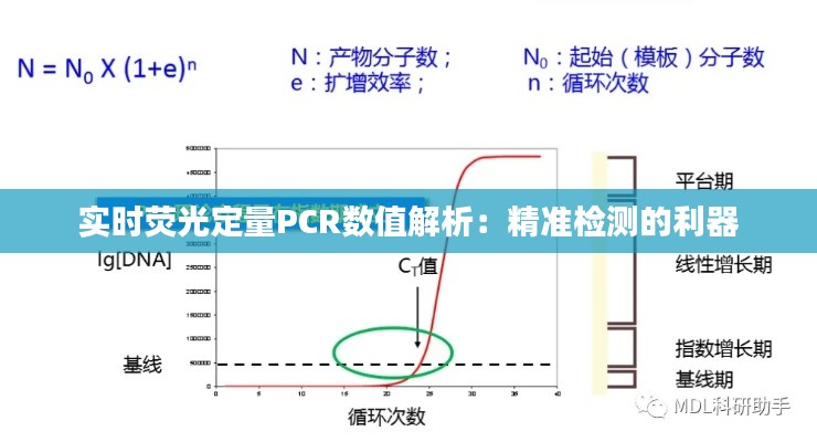 实时荧光定量PCR数值解析：精准检测的利器