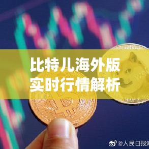 比特儿海外版实时行情解析：市场动态与投资策略