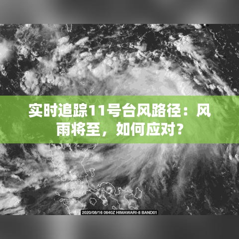 实时追踪11号台风路径：风雨将至，如何应对？