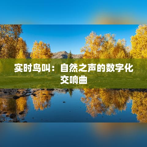 实时鸟叫：自然之声的数字化交响曲