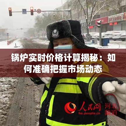 锅炉实时价格计算揭秘：如何准确把握市场动态
