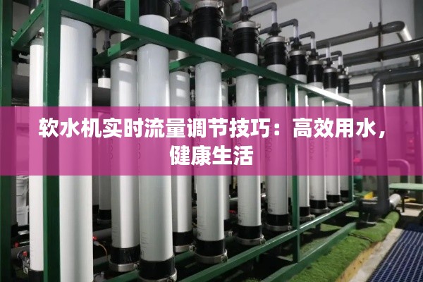软水机实时流量调节技巧：高效用水，健康生活