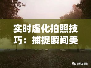 实时虚化拍照技巧：捕捉瞬间美景的秘籍