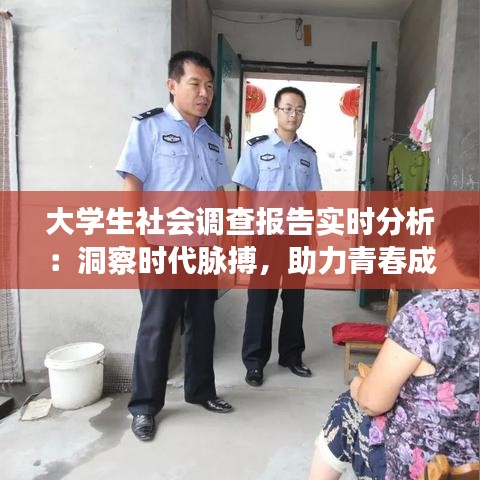 大学生社会调查报告实时分析：洞察时代脉搏，助力青春成长