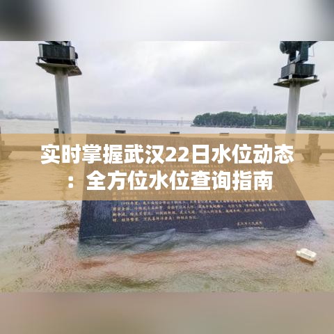 实时掌握武汉22日水位动态：全方位水位查询指南