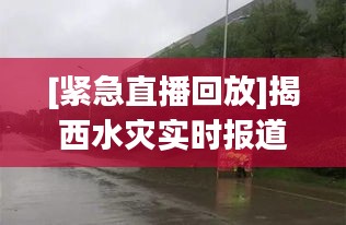 毛手毛脚 第3页
