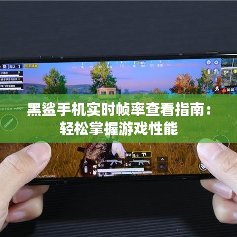 黑鲨手机实时帧率查看指南：轻松掌握游戏性能
