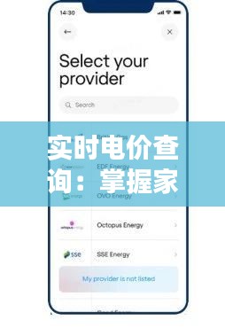 实时电价查询：掌握家庭用电成本的智慧之选