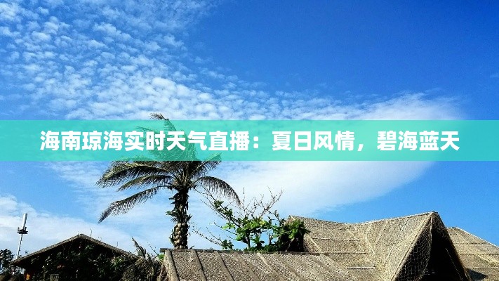海南琼海实时天气直播：夏日风情，碧海蓝天