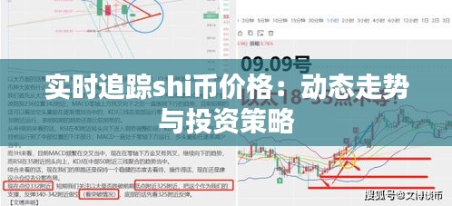 实时追踪shi币价格：动态走势与投资策略