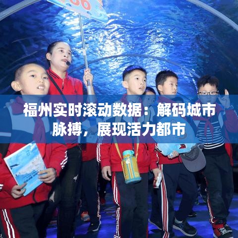 福州实时滚动数据：解码城市脉搏，展现活力都市
