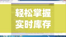 轻松掌握实时库存表制作——视频教程全解析