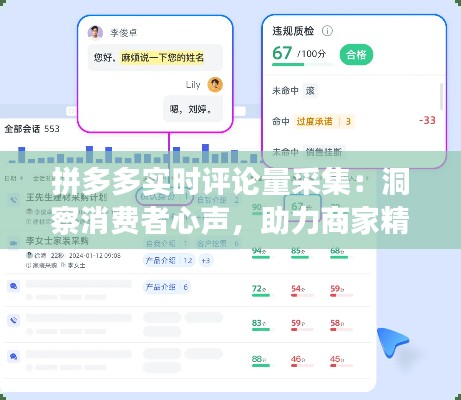 拼多多实时评论量采集：洞察消费者心声，助力商家精准营销
