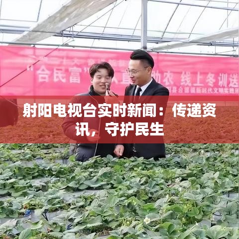 射阳电视台实时新闻：传递资讯，守护民生