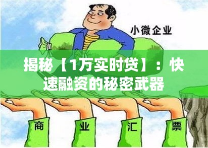 揭秘【1万实时贷】：快速融资的秘密武器