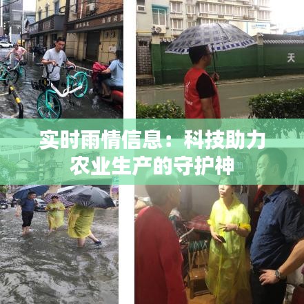 实时雨情信息：科技助力农业生产的守护神