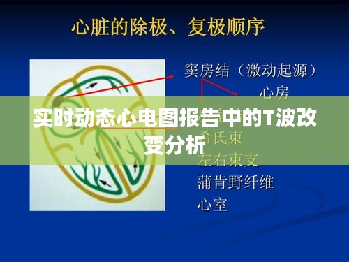 天生丽质 第3页