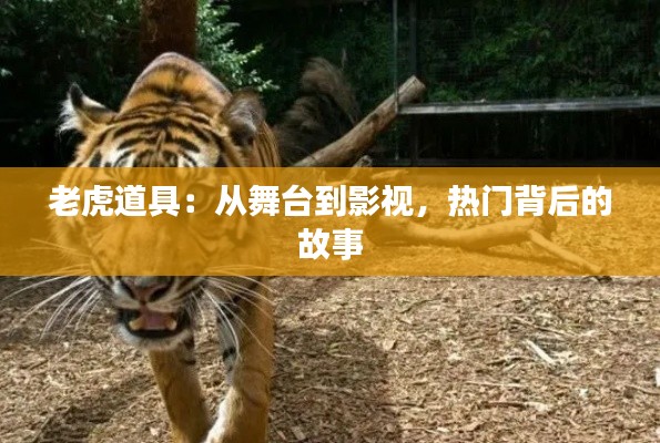 老虎道具：从舞台到影视，热门背后的故事