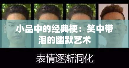 小品中的经典梗：笑中带泪的幽默艺术