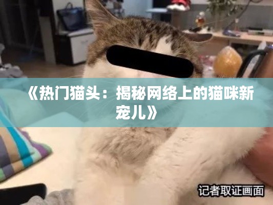 《热门猫头：揭秘网络上的猫咪新宠儿》