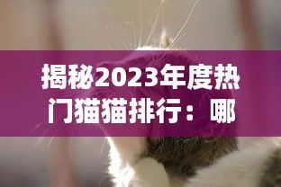 揭秘2023年度热门猫猫排行：哪些萌宠征服了你的心？