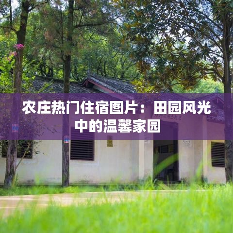 农庄热门住宿图片：田园风光中的温馨家园