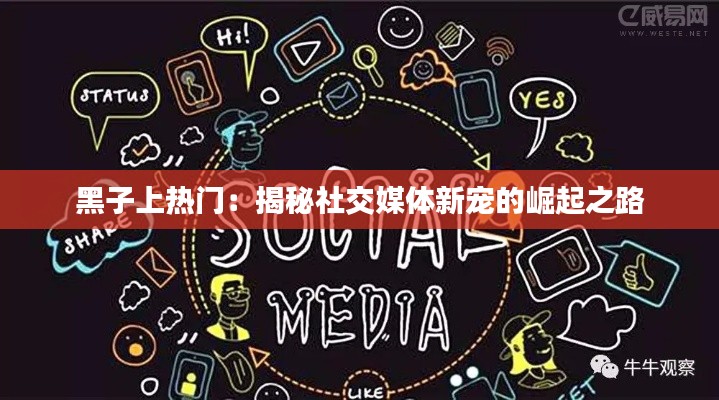 黑子上热门：揭秘社交媒体新宠的崛起之路