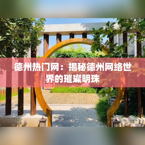 德州热门网：揭秘德州网络世界的璀璨明珠