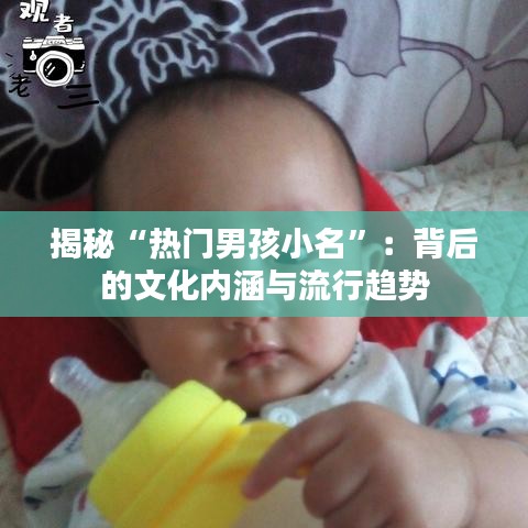 揭秘“热门男孩小名”：背后的文化内涵与流行趋势