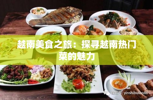 越南美食之旅：探寻越南热门菜的魅力