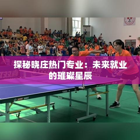探秘晓庄热门专业：未来就业的璀璨星辰