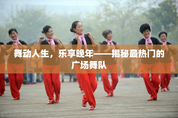 舞动人生，乐享晚年——揭秘最热门的广场舞队