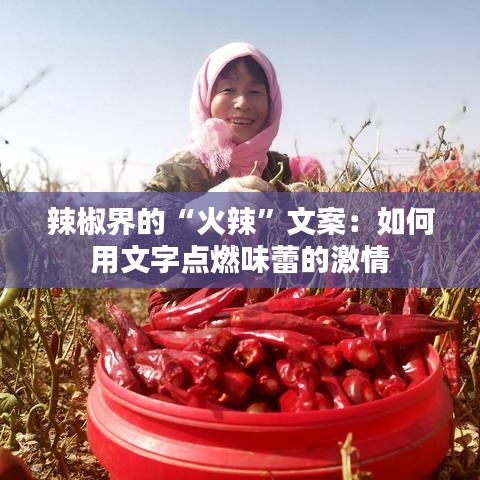 辣椒界的“火辣”文案：如何用文字点燃味蕾的激情