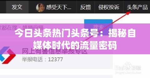 蛙鸣鼓吹 第3页