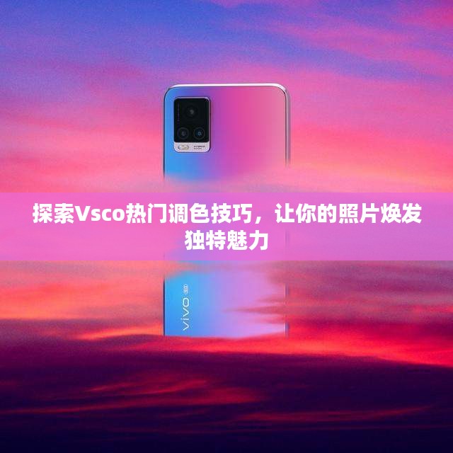 探索Vsco热门调色技巧，让你的照片焕发独特魅力