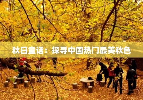 秋日童话：探寻中国热门最美秋色