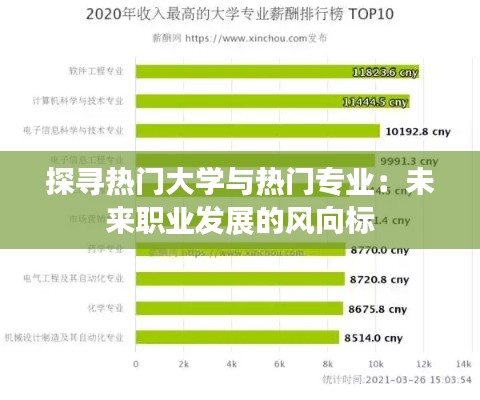 探寻热门大学与热门专业：未来职业发展的风向标