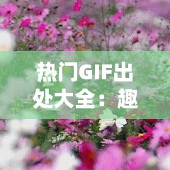 热门GIF出处大全：趣味瞬间，一网打尽！