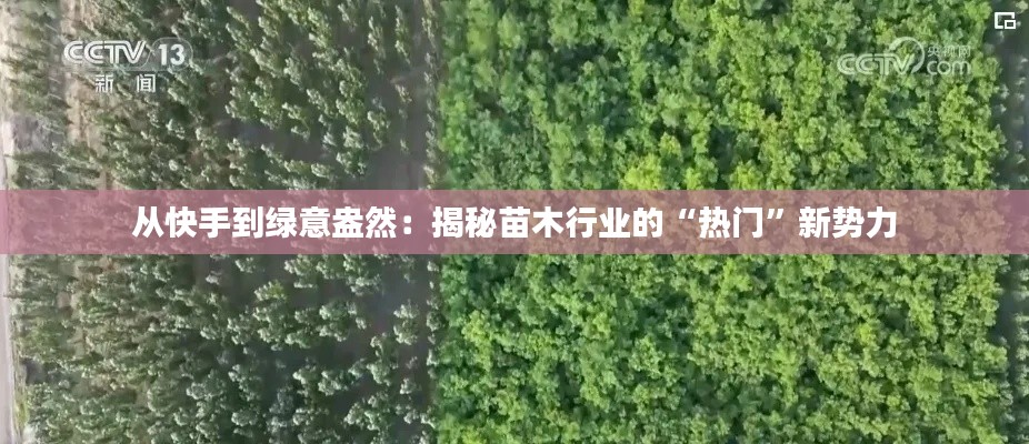 从快手到绿意盎然：揭秘苗木行业的“热门”新势力