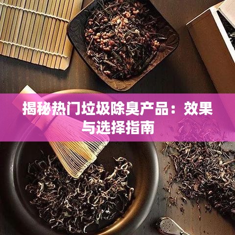 揭秘热门垃圾除臭产品：效果与选择指南